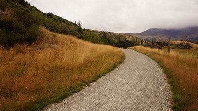 麦间道路景观摄影